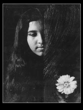 005 Advent Of Spring