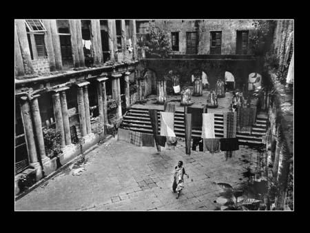 036 Aristocrasy In Ruins