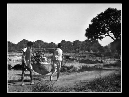 132 Ancient Transport