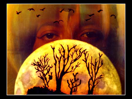 158 (C)The Undesired End